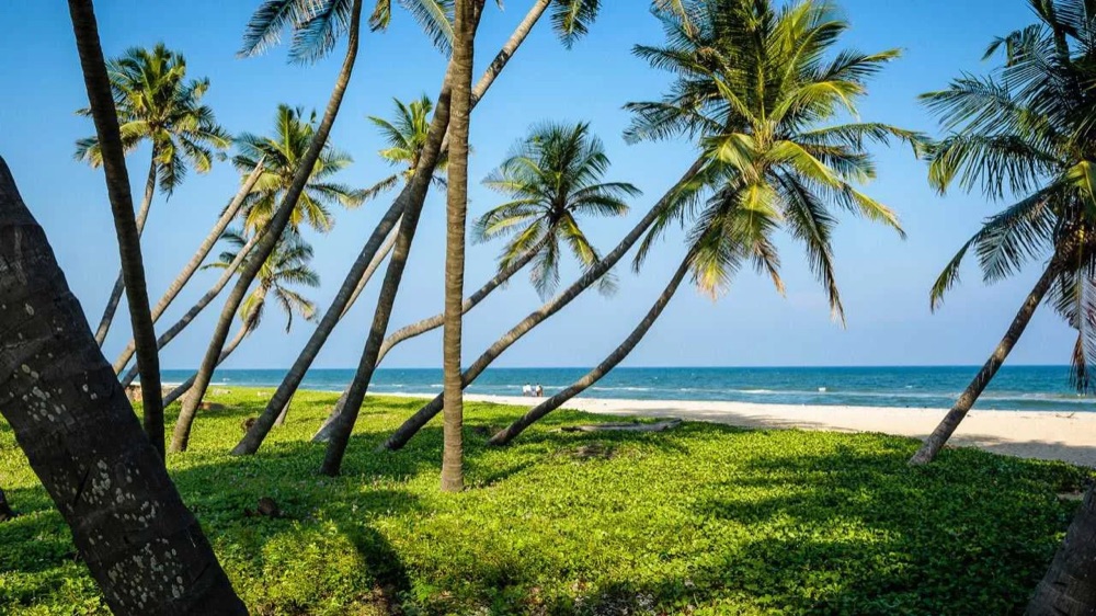 Thanjavur to Pondicherry taxi